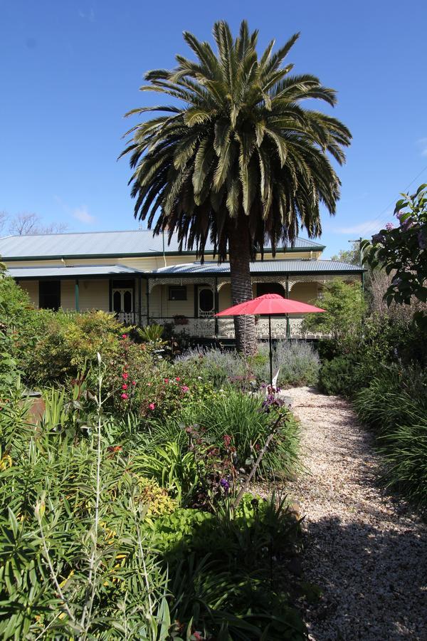 Bed and Breakfast Palm House Maldon Esterno foto