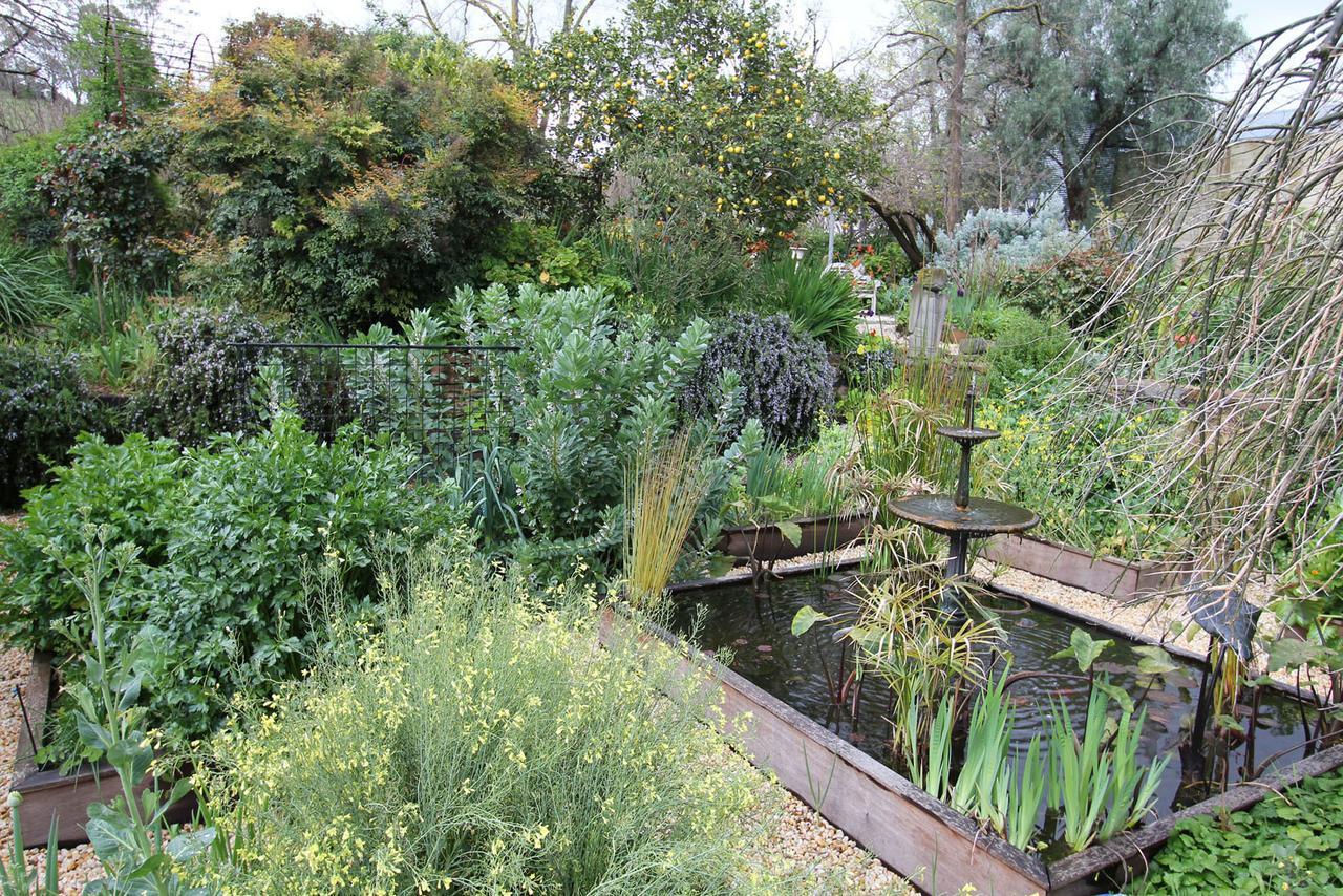 Bed and Breakfast Palm House Maldon Esterno foto
